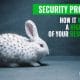 Internet Security Projects