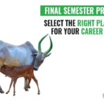 Final Semester Projects - How To Choose The Precise One? 4 Final Semester Projects