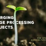 Emerging Image Processing Projects For Upgrading Agriculture System 4 Image Processing In Agriculture