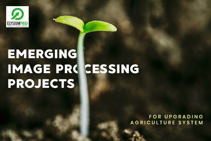 Image Processing In Agriculture