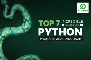 Python Features