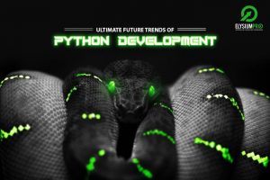 Python Development