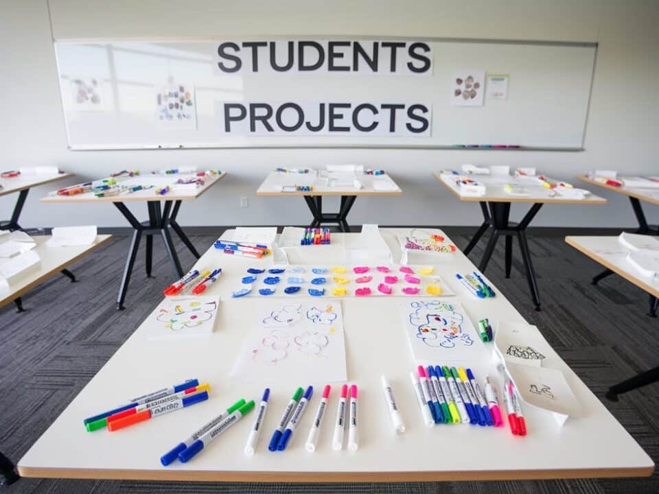 Students projects